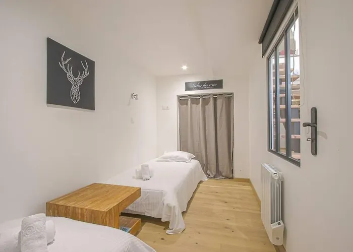 Duplex Centre Historique De Apartment *